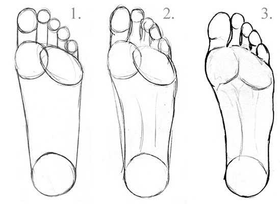 Learn to draw feet